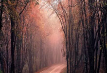 为西藏地震灾区捐款的三位体育明星点赞.