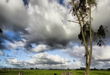 杏彩体育官网：凡尔赛！森保一：终于松了口气，日本踢世界杯没在我执教时中断.