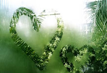 [CBA]浙江稠州迎战上海 两队力求改变现状.