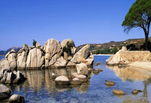 杏彩体育官网：库里28+7+9 勇士客场逆转尼克斯.